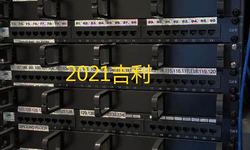 goog直装2021吉利
